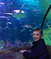 Finn gets VIP visit to Sea Life