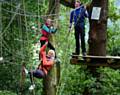 Treetop Trekkers