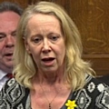 Liz McInnes MP