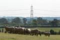 Work to start on £12m project to refurbish an 11km long overhead power line