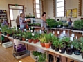 Smithy Bridge Church Plant Sale