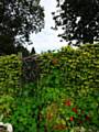 Kellett St Allotments 