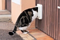 Cat flap