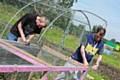 VIC member Keith Edgar and VIC Outreach Worker Tony Stubbs creating a chicken coop for the allotment in Middleton