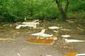 Flytipping in Ashworth Valley