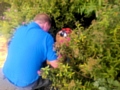 Stephen Burke, Chairman of Friends of Hare Hill Park installing one of the sculptures