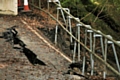 Following a landslide, huge cracks appeared in the road, prompting its closure in 2017