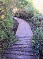 The Wince Brook path from Kirkway to bridge one, which was regenerated in summer 2018