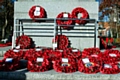 Poppy wreaths laid locally for Remembrance Sunday