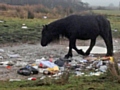 Fly-tipping at Lobden