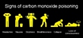 Signs of carbon monoxide poisoning