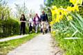 Walking Week - great reasons to lace up your walking boots 