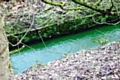 River Beal - bright green