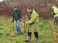 New trees being planted in Wince Brook Nature Reserve