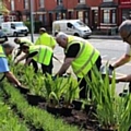 Planting around the borough gateways