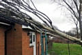 Storm Doris brings tree down onto bungalow in Norden