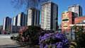 Seven Sisters tower blocks