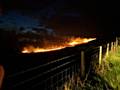 Three farms saved from wildfire in Littleborough