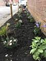 Cecil Street Community Garden