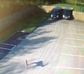 Deer in Matthew Moss High School car park