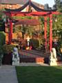 Warwick Smith's Oriental garden featured on BBC North West