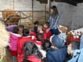 Beech House School Nursery at Animal Quackers Farm