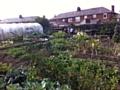 Community garden built on unused land