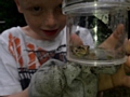 Taking a closer look at a frog with the magnifying pots