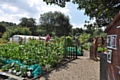 Kellett Street allotment