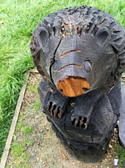 This hedgehog sculpture has been the victim of a saw