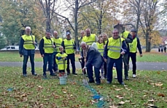 The team planting crocus corms