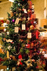 Can You Recycle Christmas Trees?