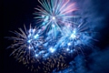 Pets become especially distressed during Bonfire Night or other firework displays