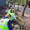 The summer Wonderwall planting at Rochdale AFC