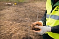 Tree planting 