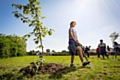 School pupils help to help plant trees 
