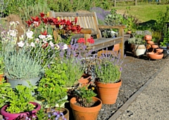 Springhill Hospice Garden