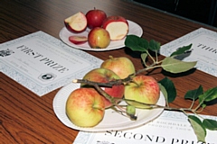 Mayor's Produce and Flower Show