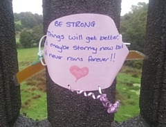 One of the messages on Queen's Park Bridge