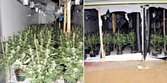 The cannabis farm on Livesey Street