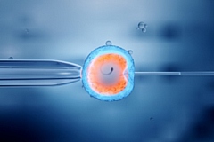 The number of IVF cycles available on the NHS has been reduced