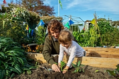 Community gardening