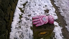 Did you lose a pink glove at Ogden yesterday?