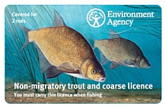 Bream on the 2 rod coarse and trout licence