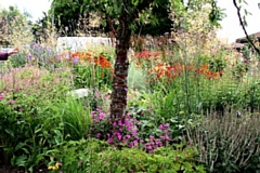 Springhill Hospice during last year's Regional judging day for Rochdale In Bloom 