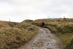 With the nation still in lockdown, many people are finding solace in taking a walk in the countryside