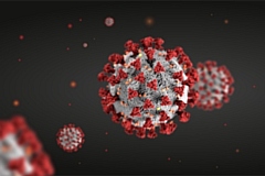 Omicron has become the dominant coronavirus strain in the Rochdale borough