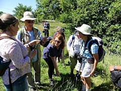 Members of Rochdale Field Naturalists' Society looking at grasses