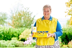 Volunteers will be supporting the Great Daffodil Appeal – Marie Curie’s biggest fundraising campaign, held every March