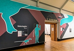 Dippy on Tour: A Natural History Adventure exhibition at Touchstones